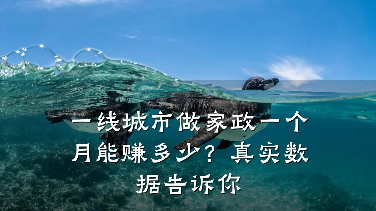 一线城市做家政一个月能赚多少?真实数据告诉你