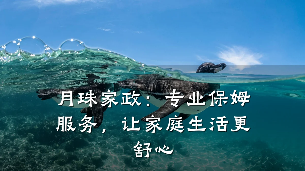 月珠家政:专业保姆服务,让家庭生活更舒心