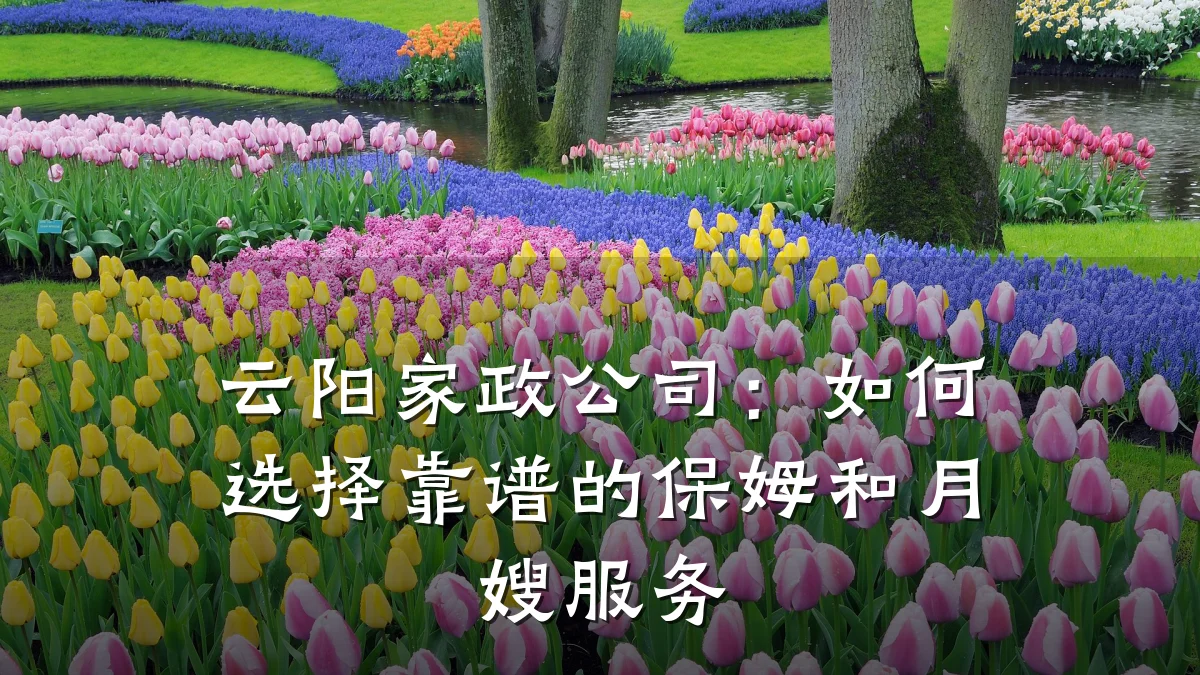 云阳家政公司:如何选择靠谱的保姆和月嫂服务