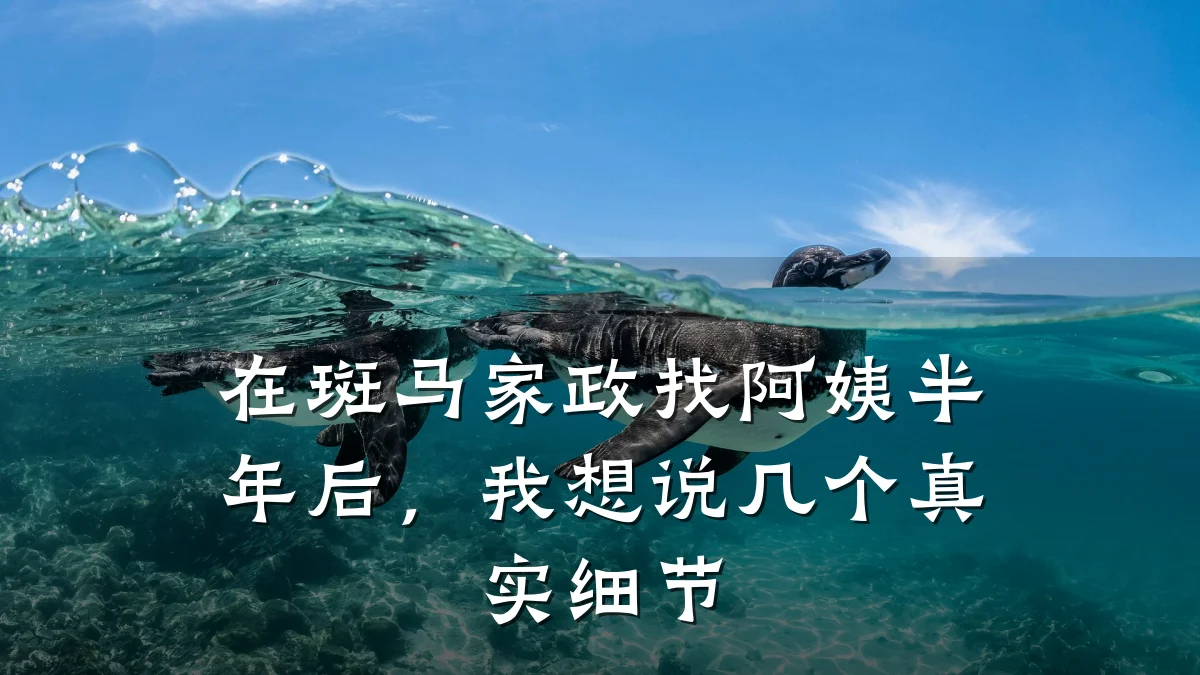 在斑马家政找阿姨半年后,我想说几个真实细节