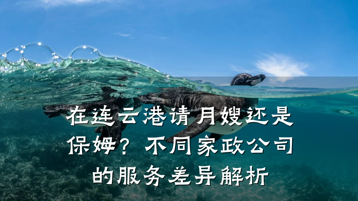 在连云港请月嫂还是保姆？不同家政公司的服务差异解析
