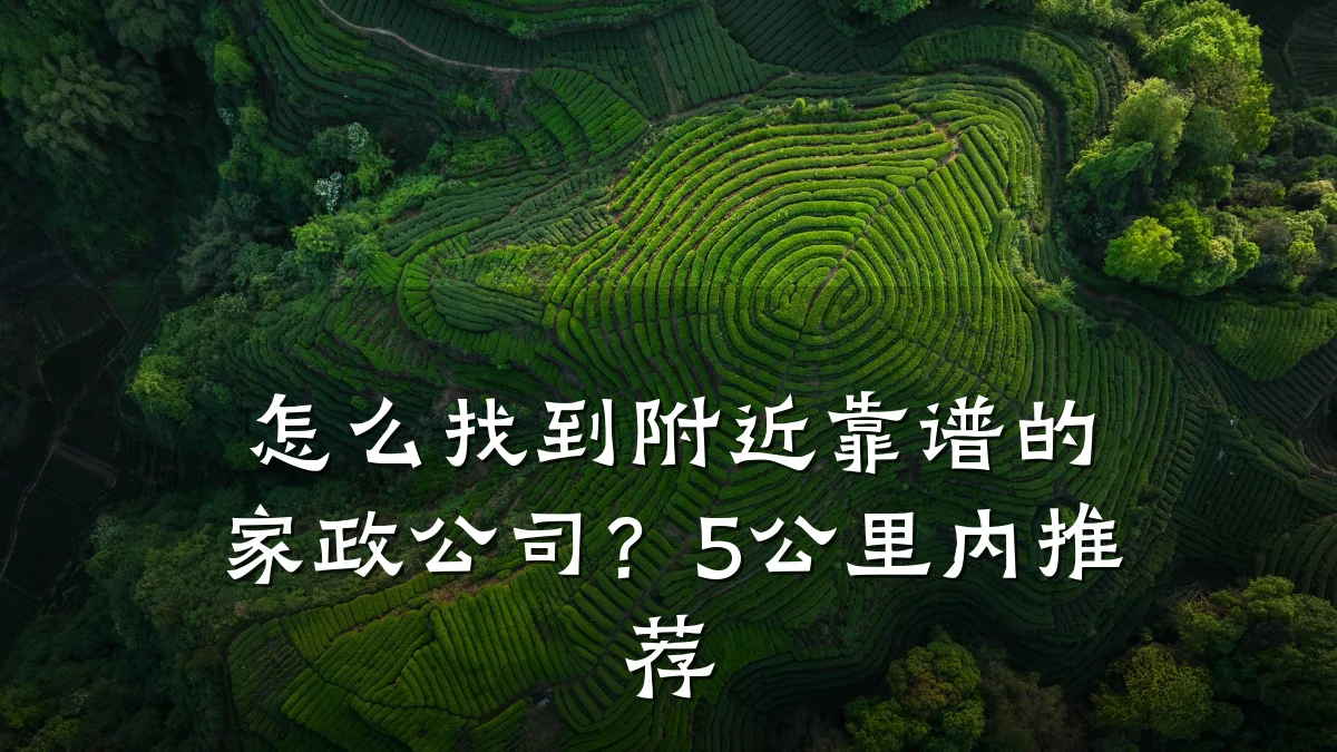 怎么找到附近靠谱的家政公司?5公里内推荐