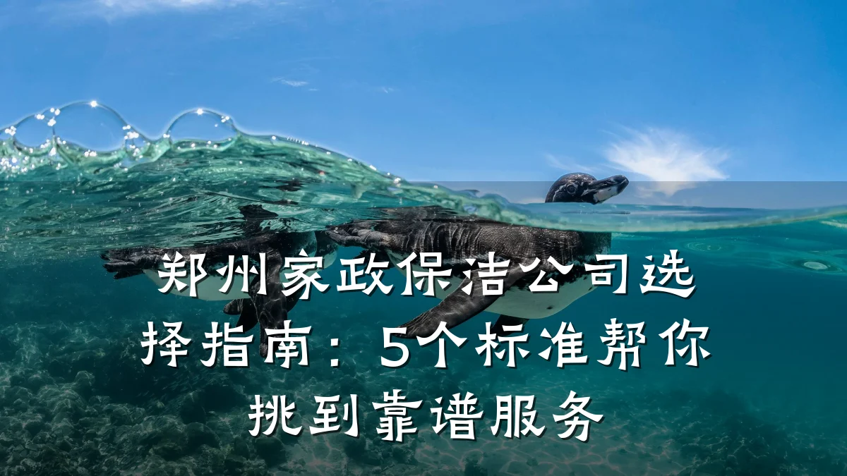 郑州家政保洁公司选择指南:5个标准帮你挑到靠谱服务