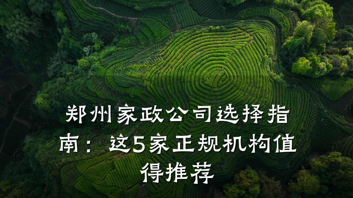 郑州家政公司选择指南:这5家正规机构值得推荐