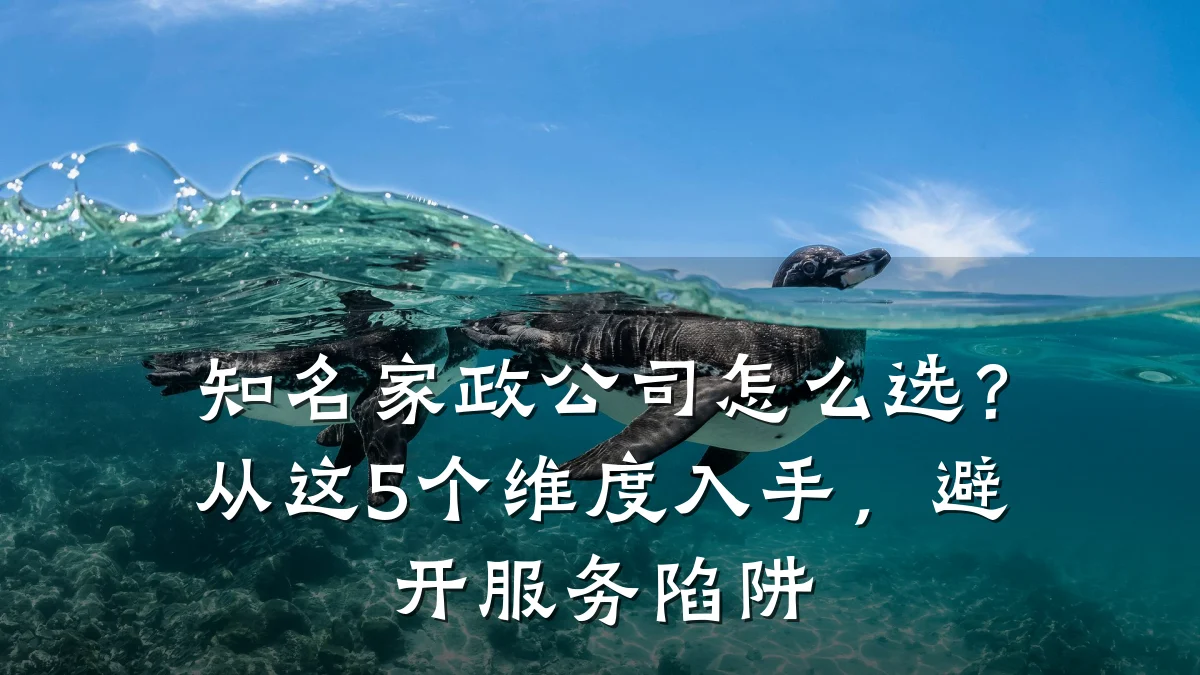 知名家政公司怎么选?从这5个维度入手,避开服务陷阱