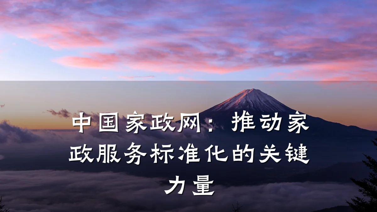 中国家政网:推动家政服务标准化的关键力量
