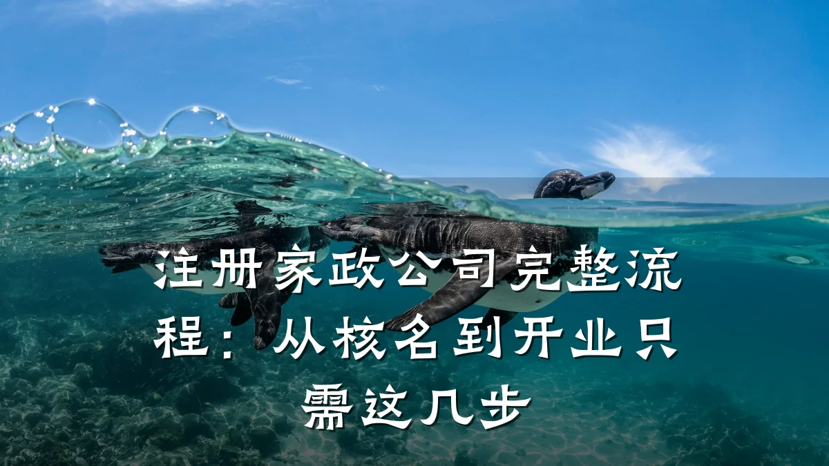注册家政公司完整流程:从核名到开业只需这几步