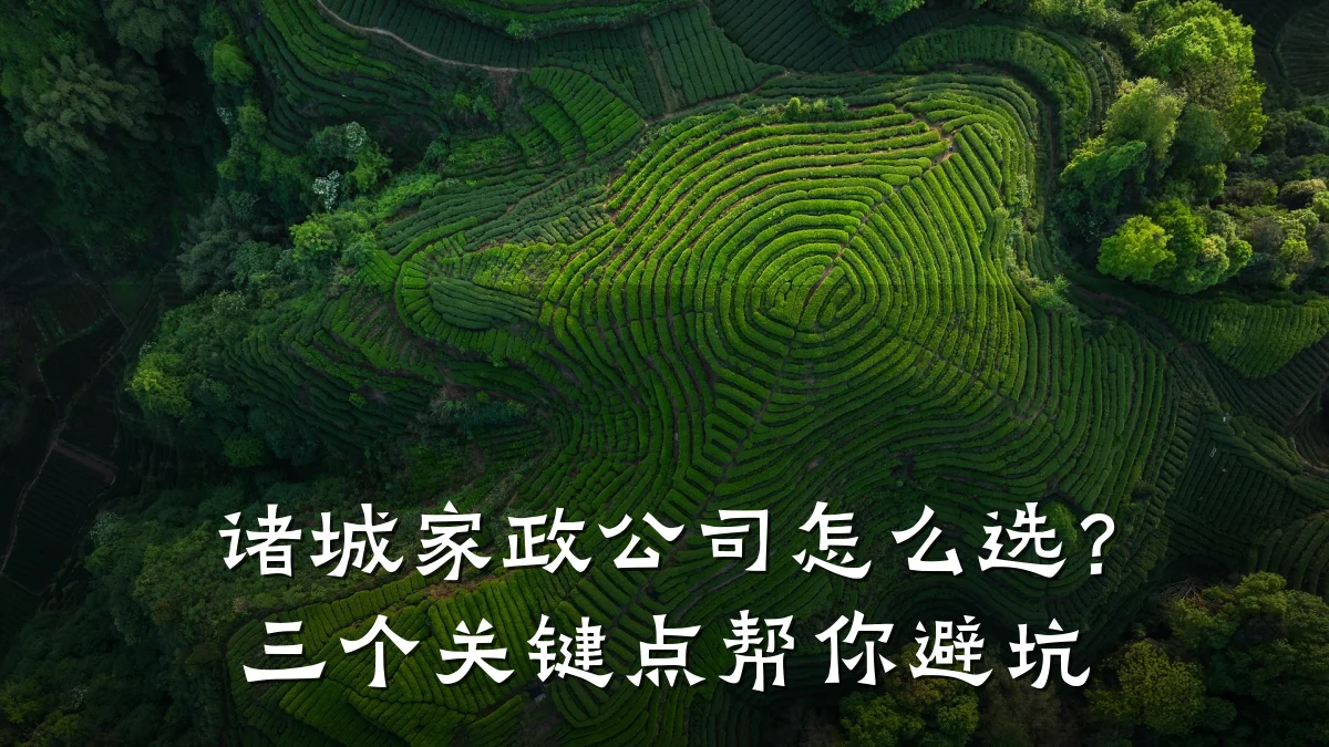 诸城家政公司怎么选?三个关键点帮你避坑