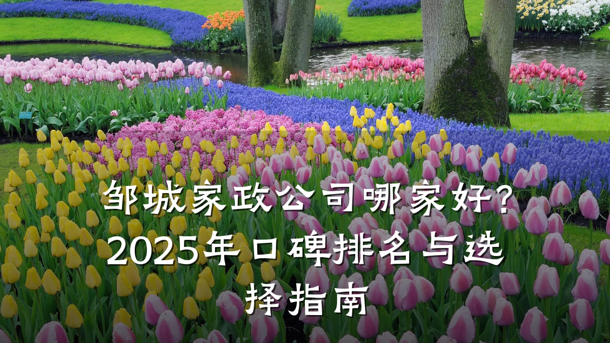 邹城家政公司哪家好?2025年口碑排名与选择指南
