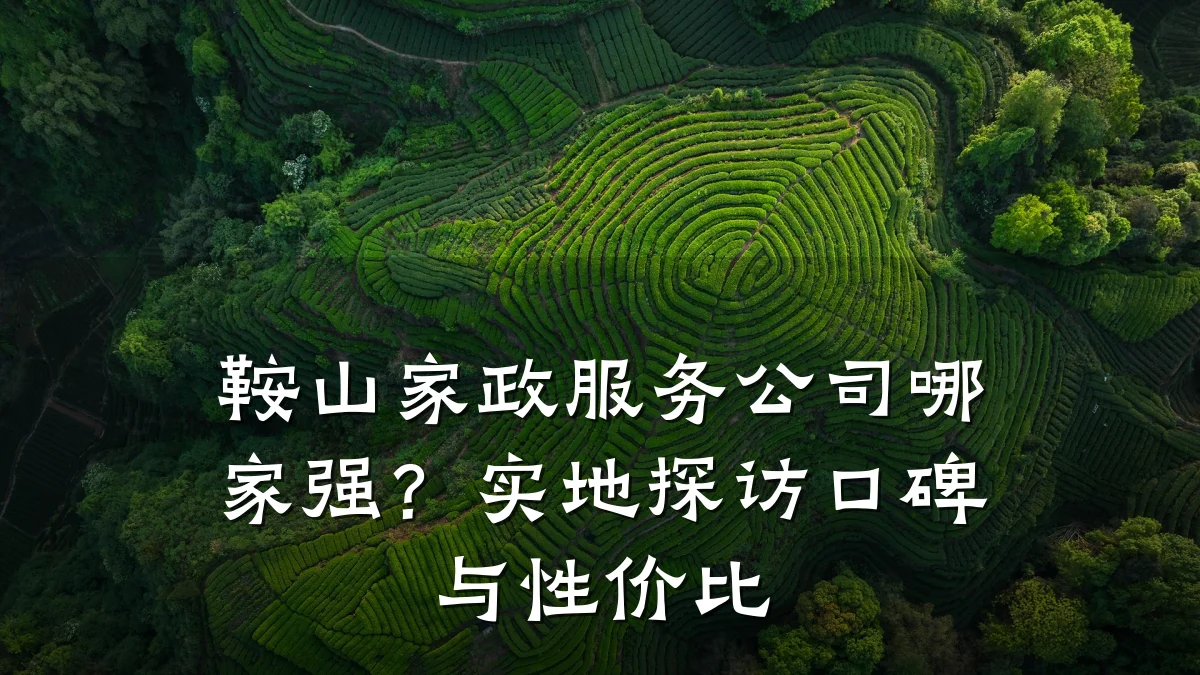 鞍山家政服务公司哪家强?实地探访口碑与性价比