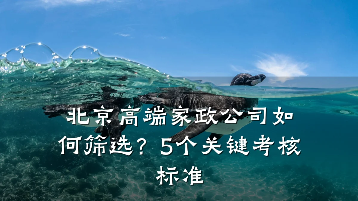 北京高端家政公司如何筛选?5个关键考核标准