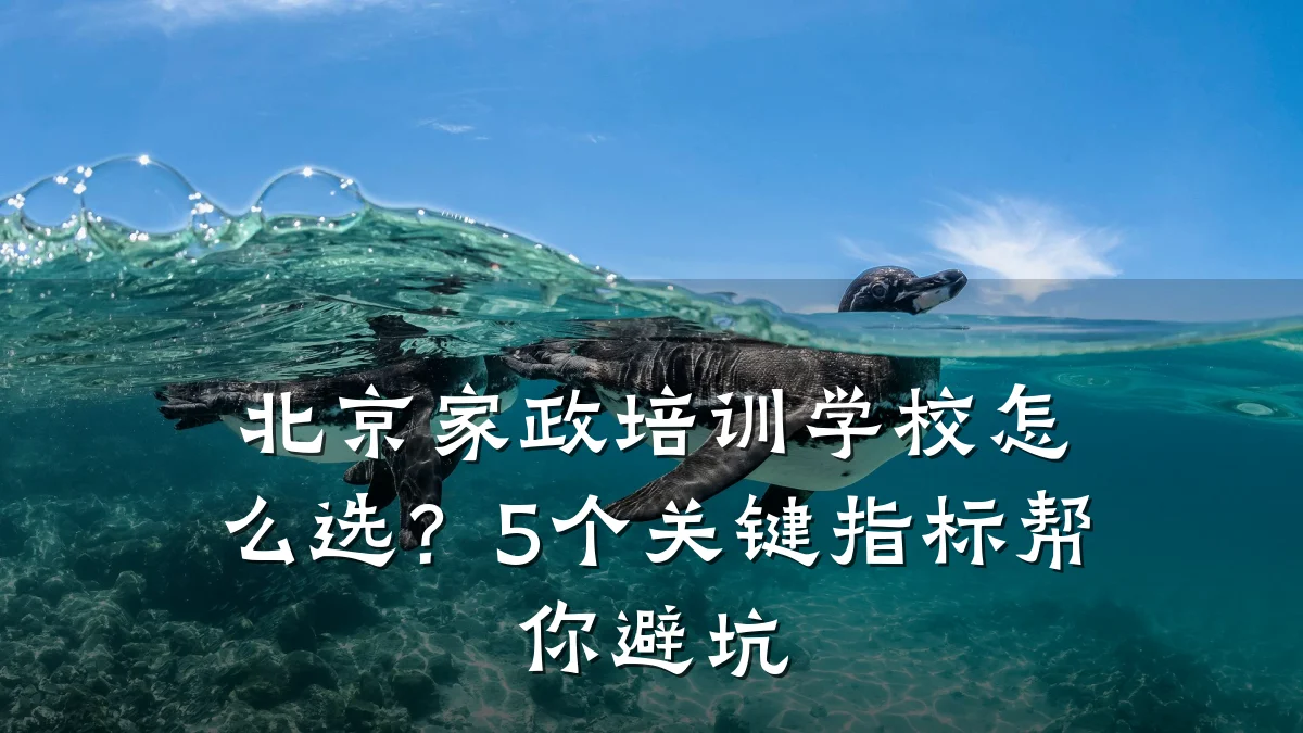 北京家政培训学校怎么选？5个关键指标帮你避坑