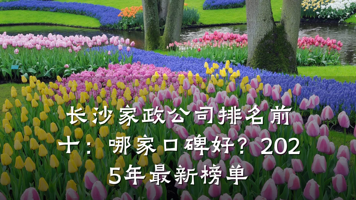 长沙家政公司排名前十:哪家口碑好?2025年最新榜单