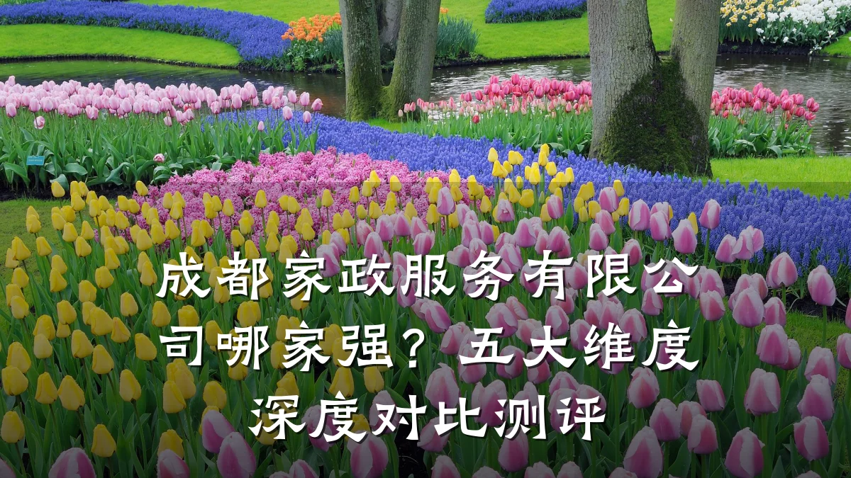成都家政服务有限公司哪家强?五大维度深度对比测评