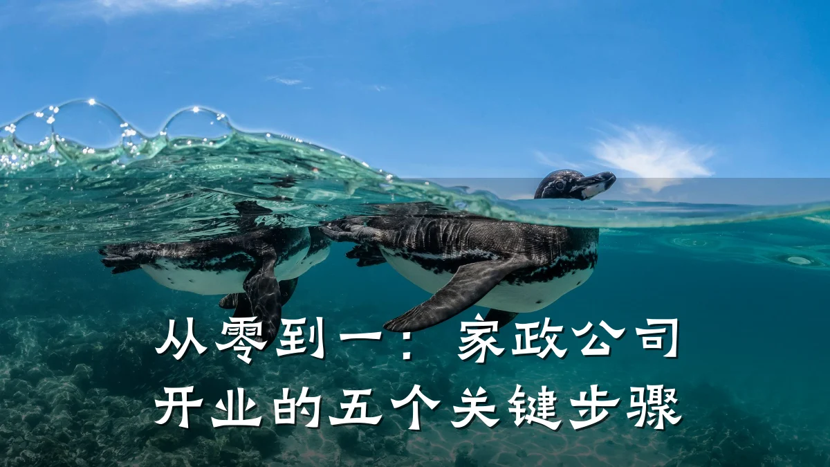 从零到一：家政公司开业的五个关键步骤