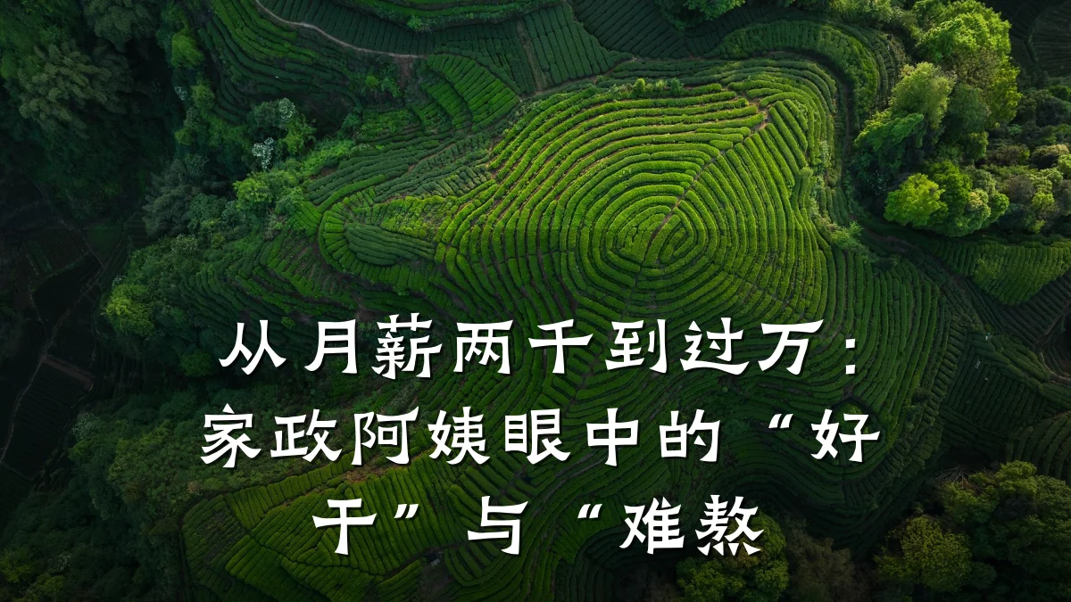 从月薪两千到过万:家政阿姨眼中的“好干”与“难熬