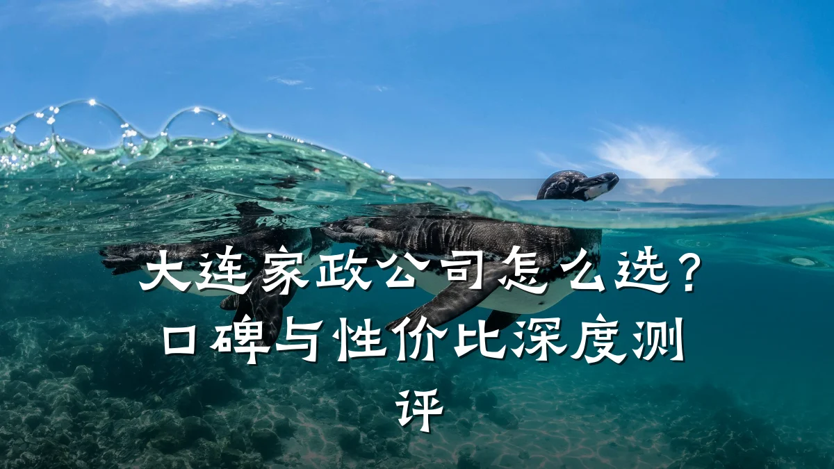 大连家政公司怎么选?口碑与性价比深度测评