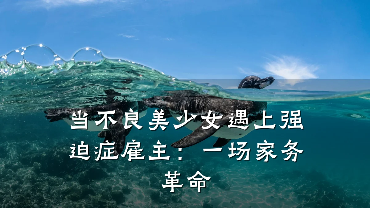 当不良美少女遇上强迫症雇主:一场家务革命
