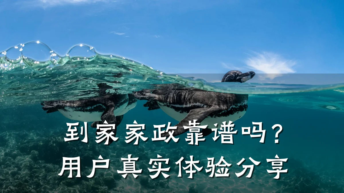 到家家政靠谱吗？用户真实体验分享