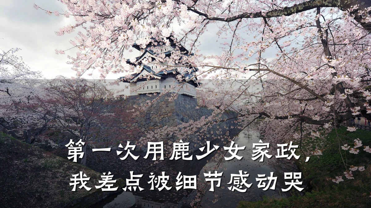第一次用鹿少女家政,我差点被细节感动哭