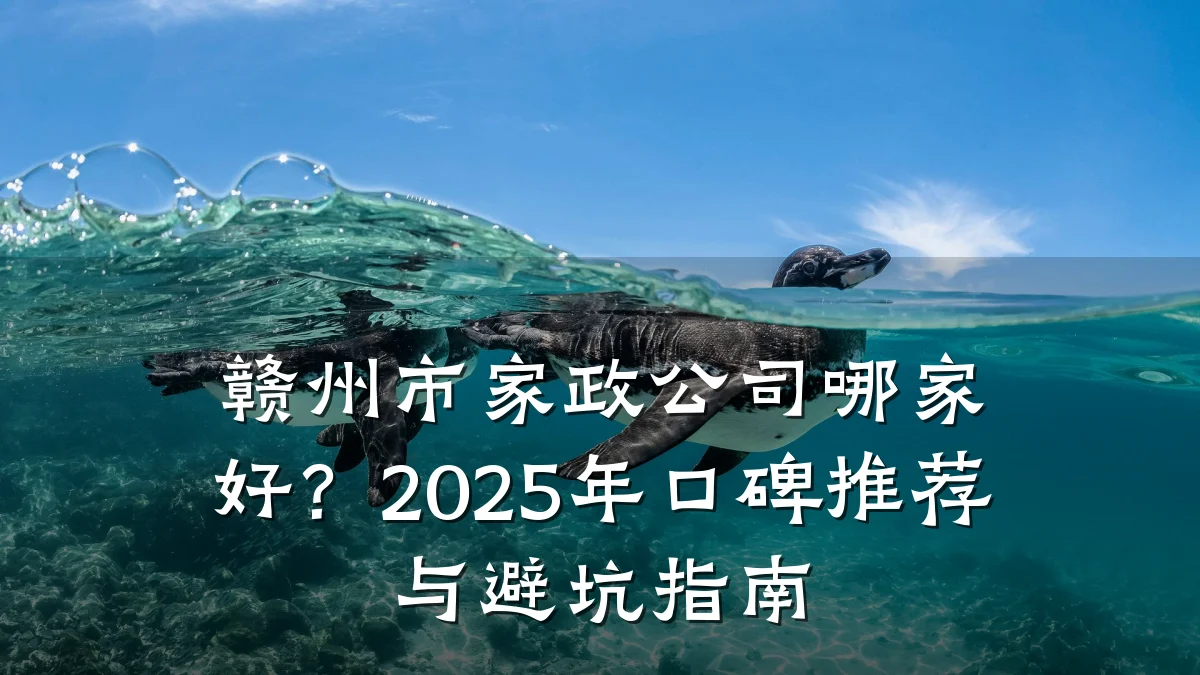 赣州市家政公司哪家好?2025年口碑推荐与避坑指南