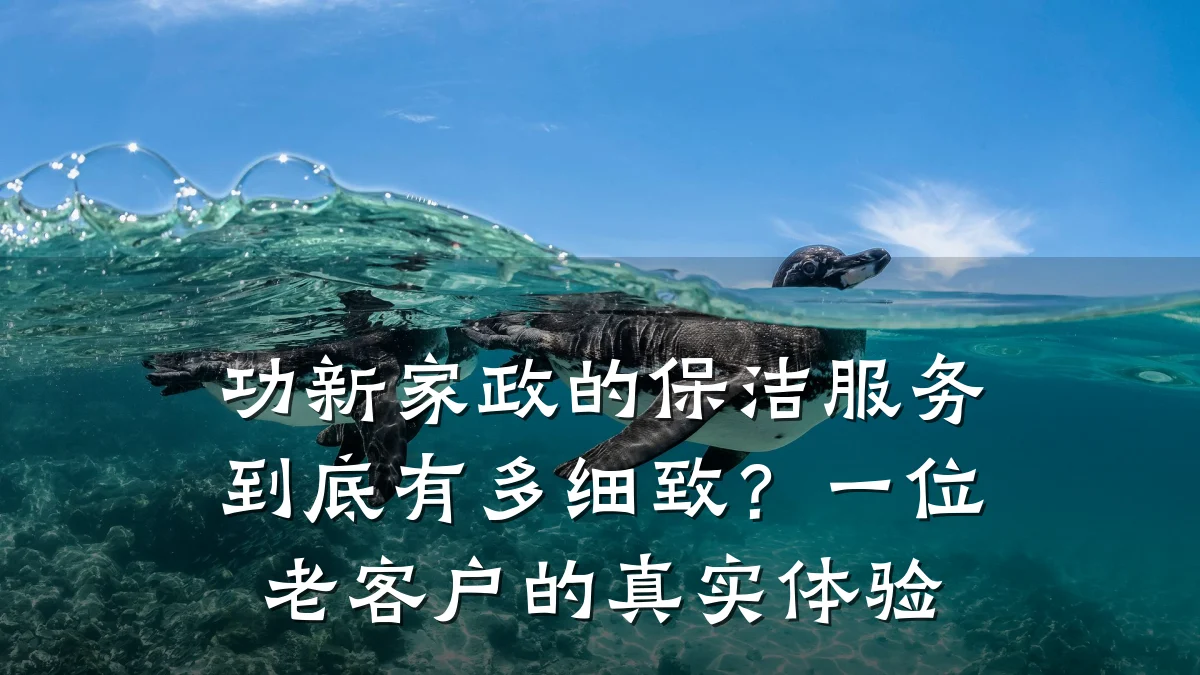 功新家政的保洁服务到底有多细致？一位老客户的真实体验
