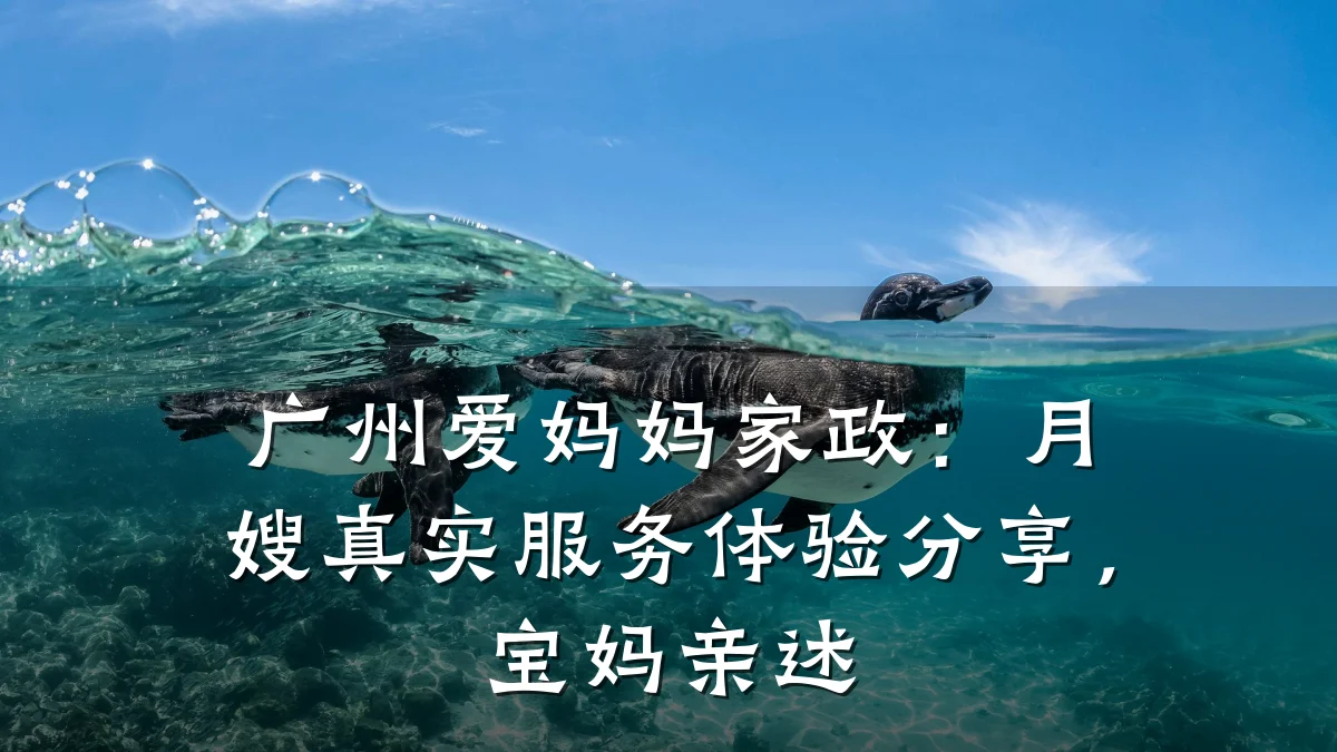 广州爱妈妈家政:月嫂真实服务体验分享,宝妈亲述
