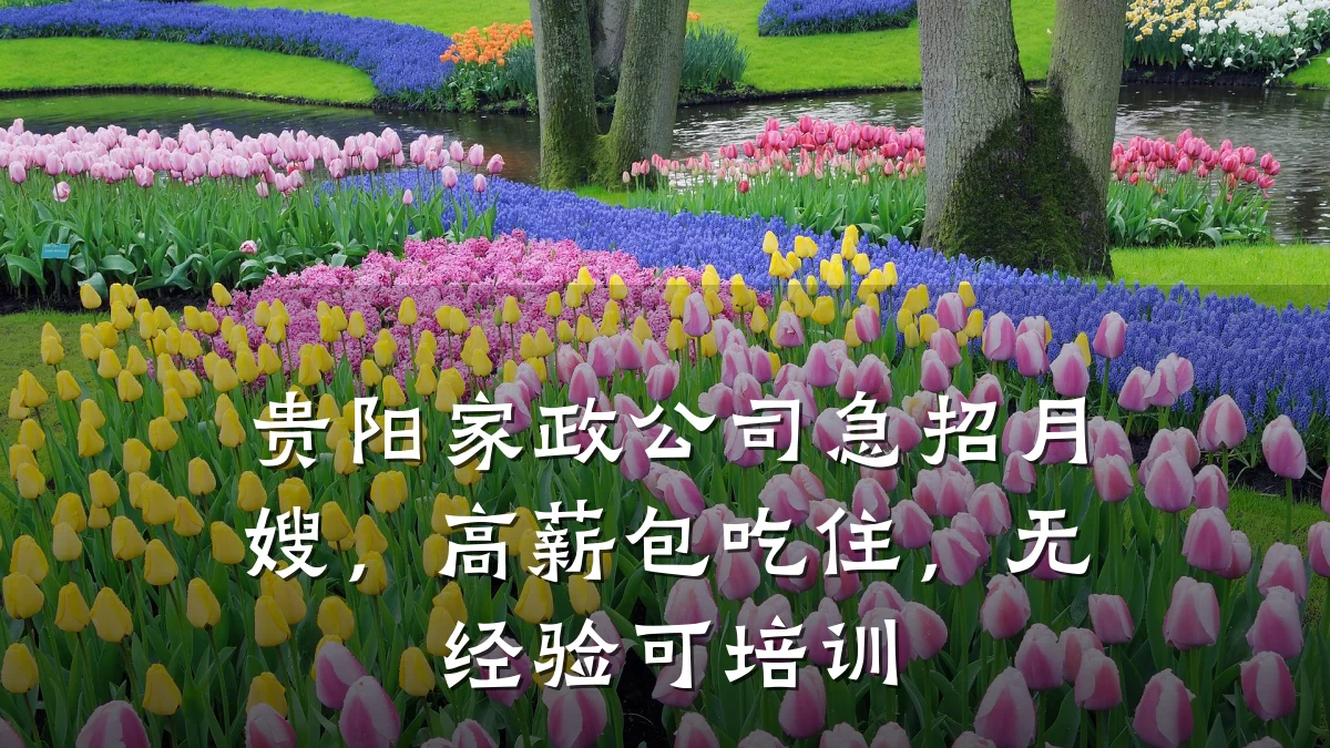 贵阳家政公司急招月嫂,高薪包吃住,无经验可培训