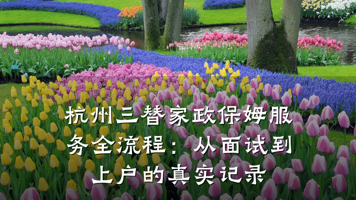 杭州三替家政保姆服务全流程:从面试到上户的真实记录