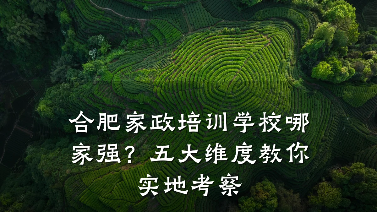 合肥家政培训学校哪家强?五大维度教你实地考察