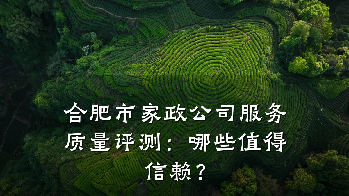 合肥市家政公司服务质量评测：哪些值得信赖？