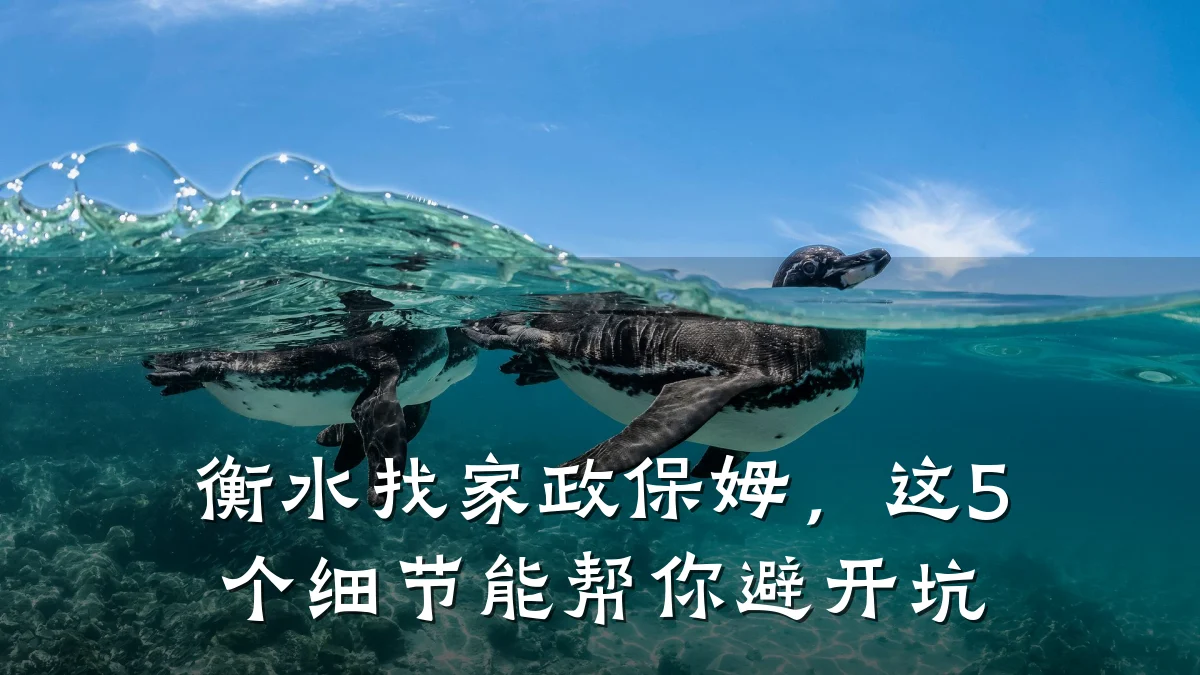 衡水找家政保姆,这5个细节能帮你避开坑