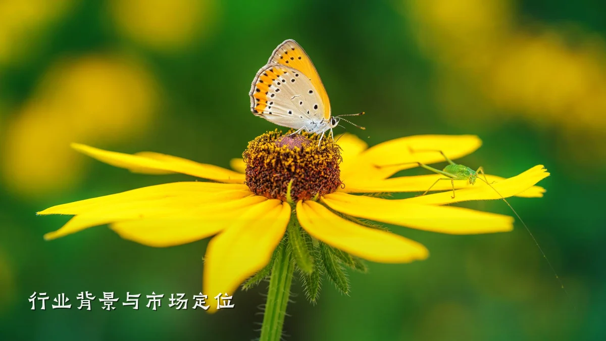 行业背景与市场定位