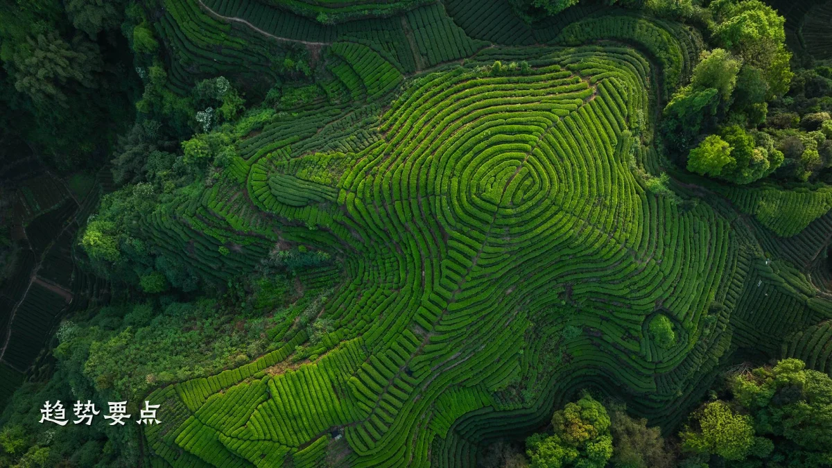 趋势要点