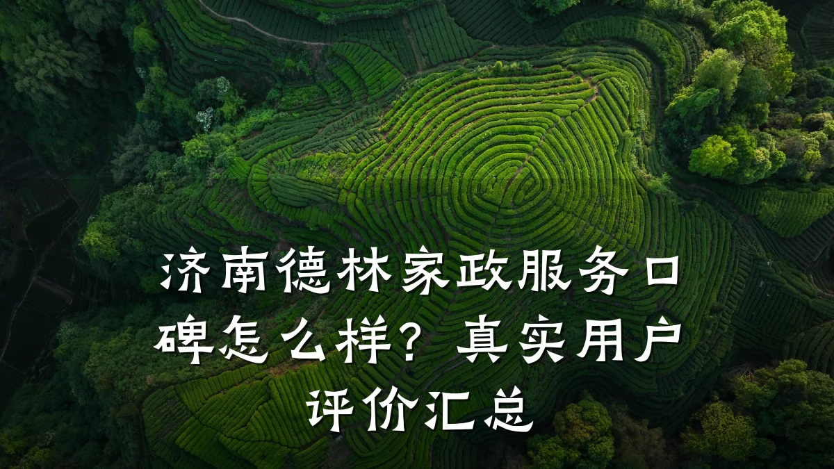 济南德林家政服务口碑怎么样?真实用户评价汇总