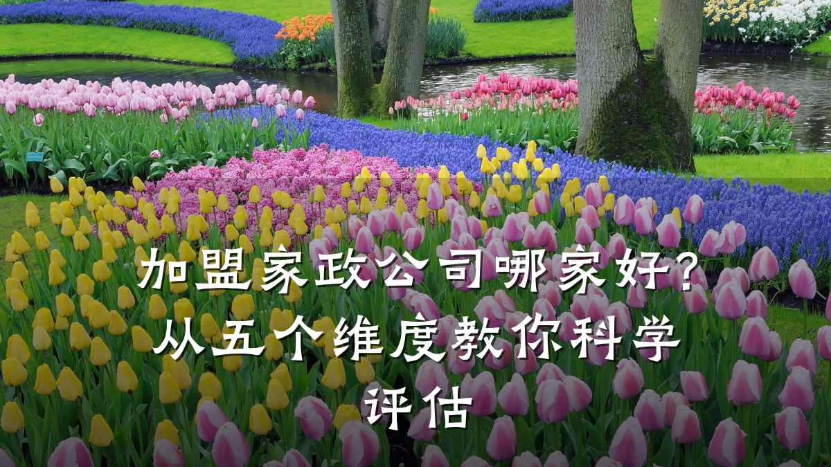 加盟家政公司哪家好?从五个维度教你科学评估
