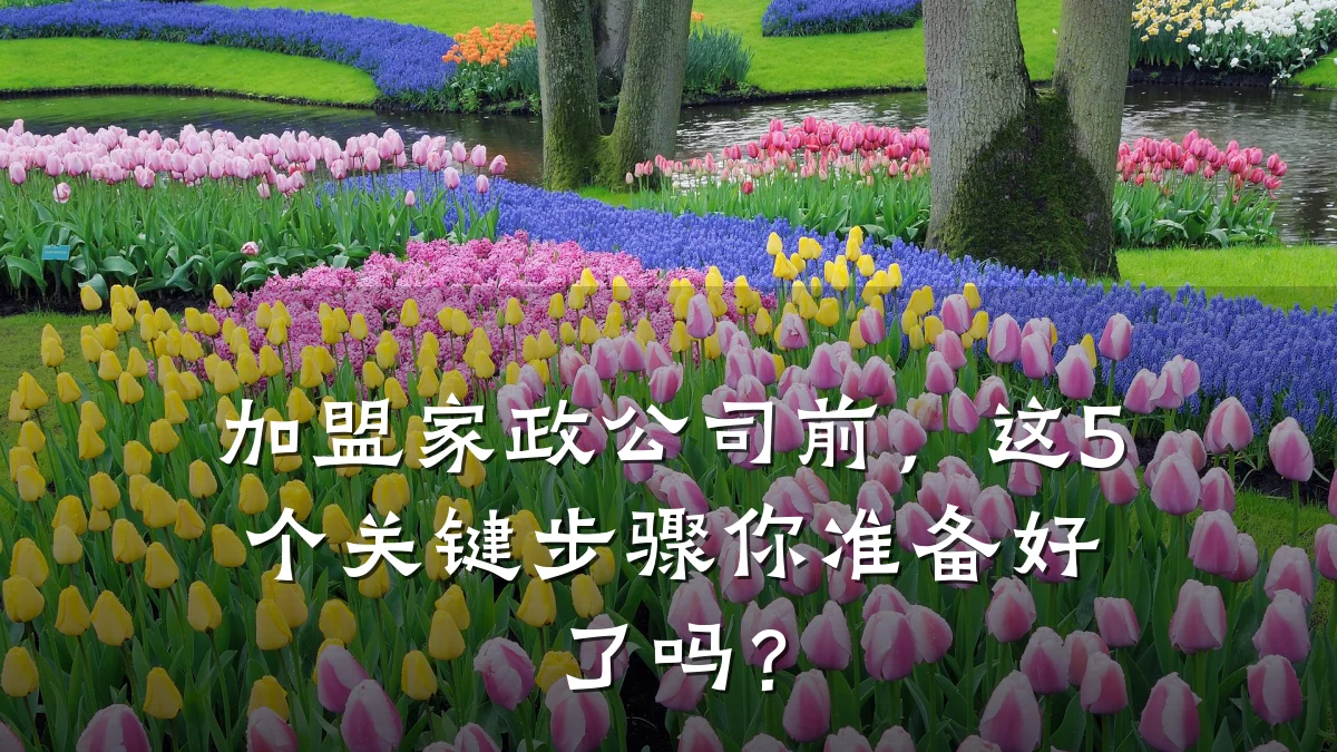 加盟家政公司前,这5个关键步骤你准备好了吗?