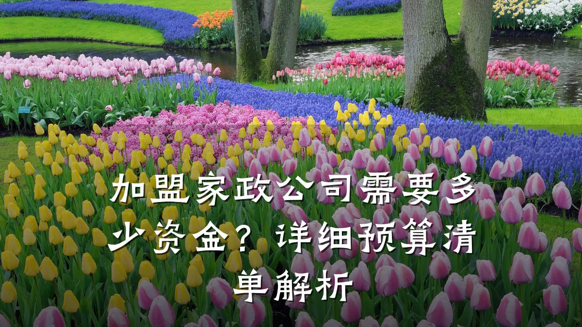 加盟家政公司需要多少资金?详细预算清单解析