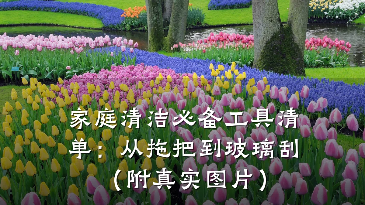 家庭清洁必备工具清单:从拖把到玻璃刮(附真实图片)