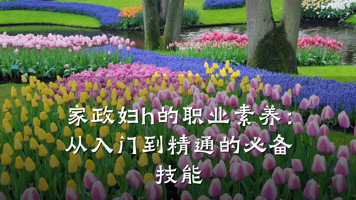 家政妇h的职业素养:从入门到精通的必备技能