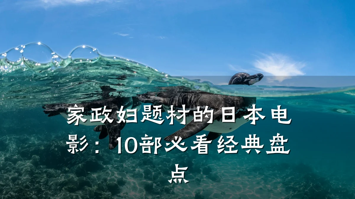 家政妇题材的日本电影：10部必看经典盘点