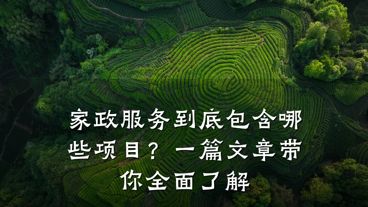 家政服务到底包含哪些项目?一篇文章带你全面了解