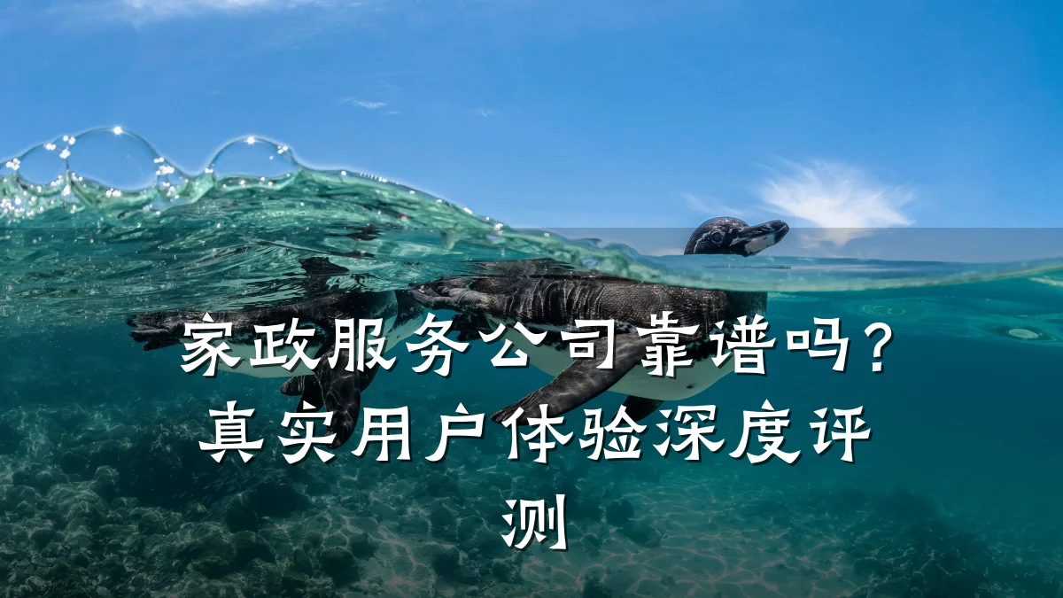 家政服务公司靠谱吗?真实用户体验深度评测
