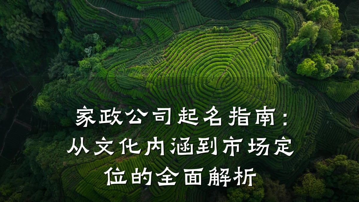 家政公司起名指南:从文化内涵到市场定位的全面解析