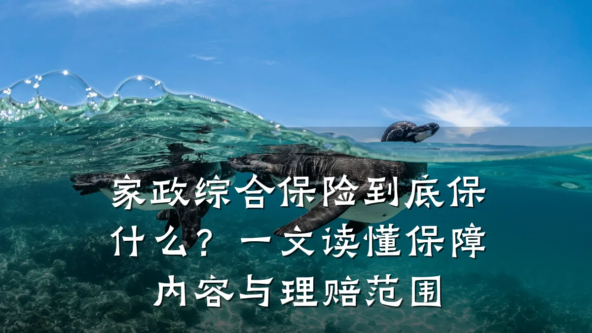 家政综合保险到底保什么?一文读懂保障内容与理赔范围