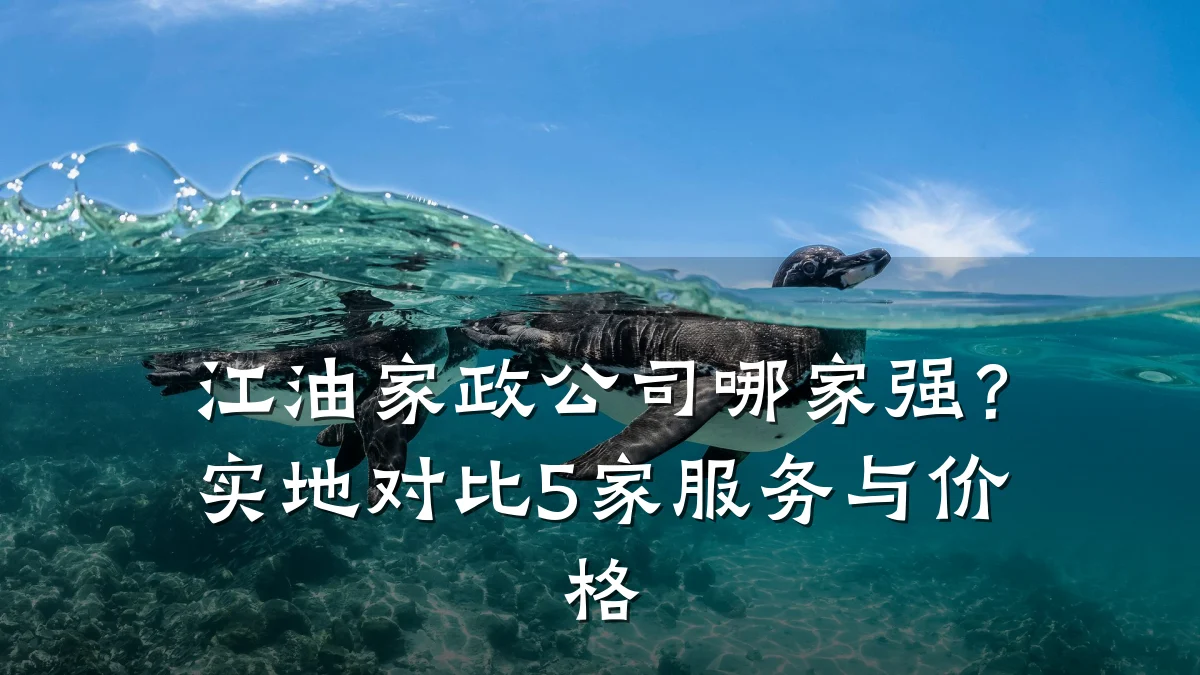 江油家政公司哪家强?实地对比5家服务与价格