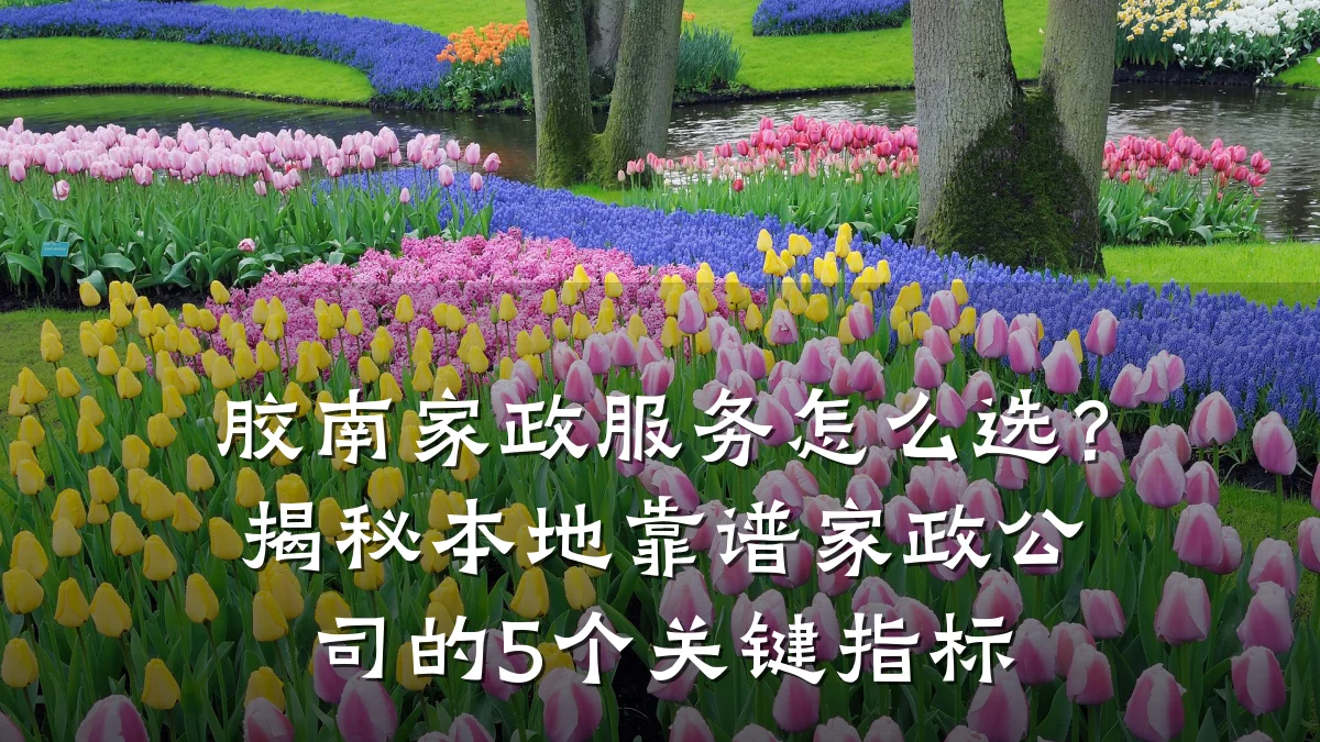 胶南家政服务怎么选?揭秘本地靠谱家政公司的5个关键指标