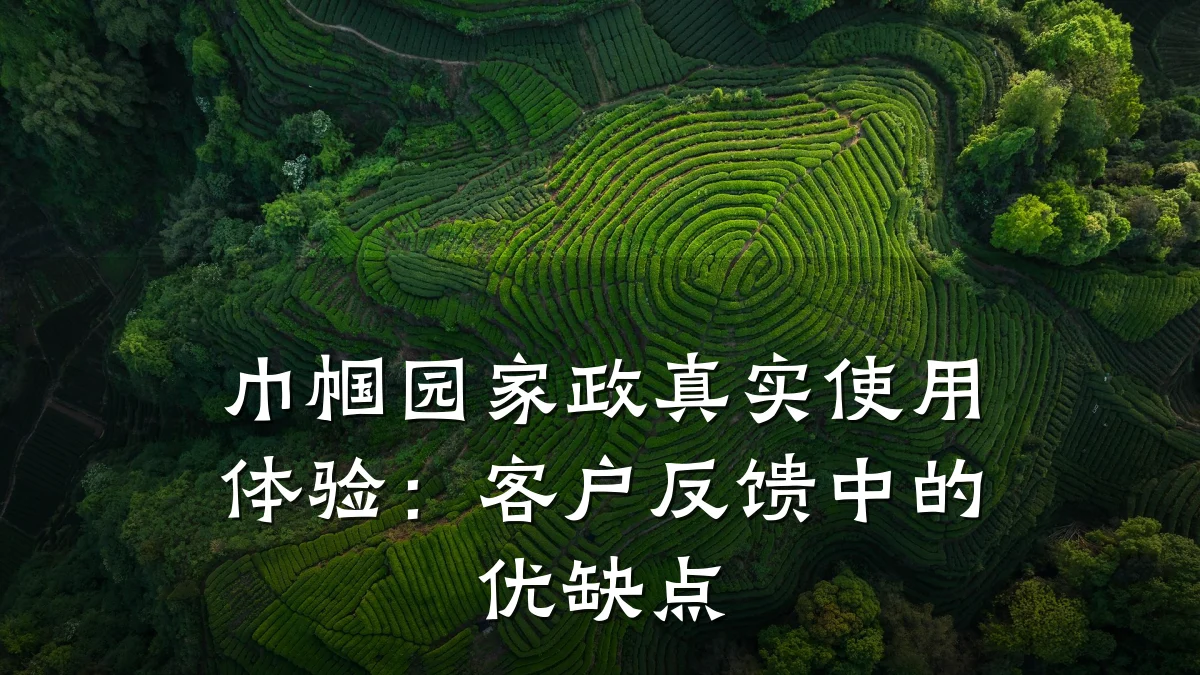 巾帼园家政真实使用体验:客户反馈中的优缺点