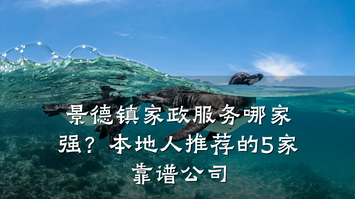 景德镇家政服务哪家强？本地人推荐的5家靠谱公司