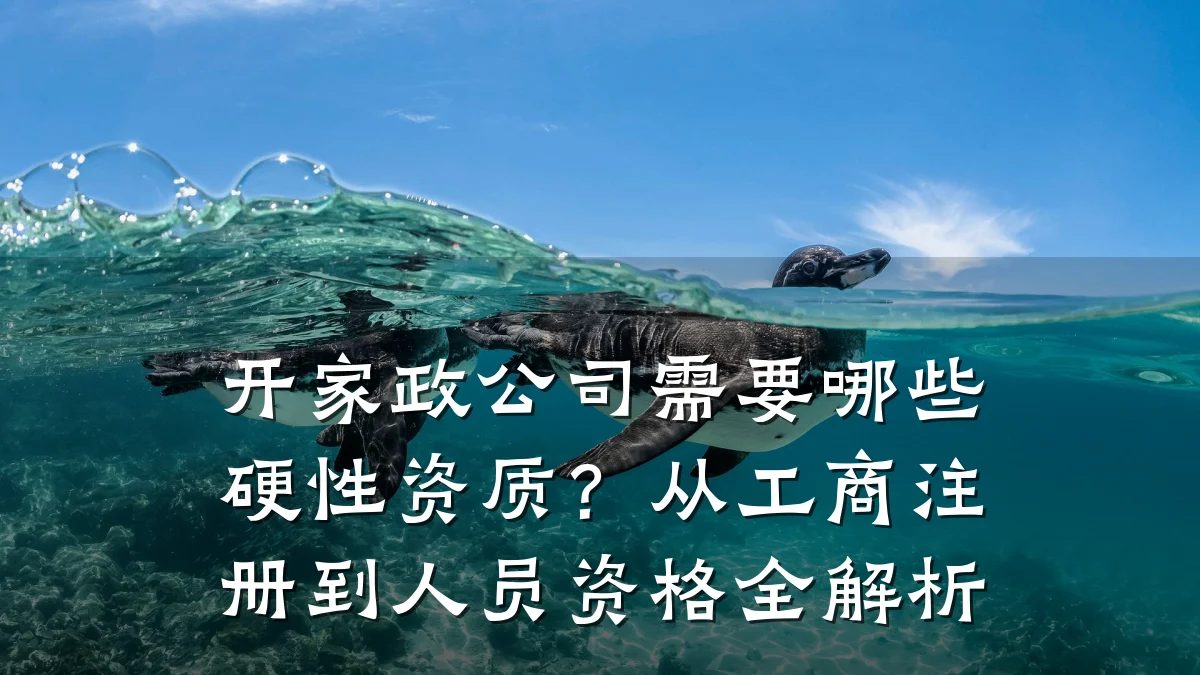 开家政公司需要哪些硬性资质?从工商注册到人员资格全解析